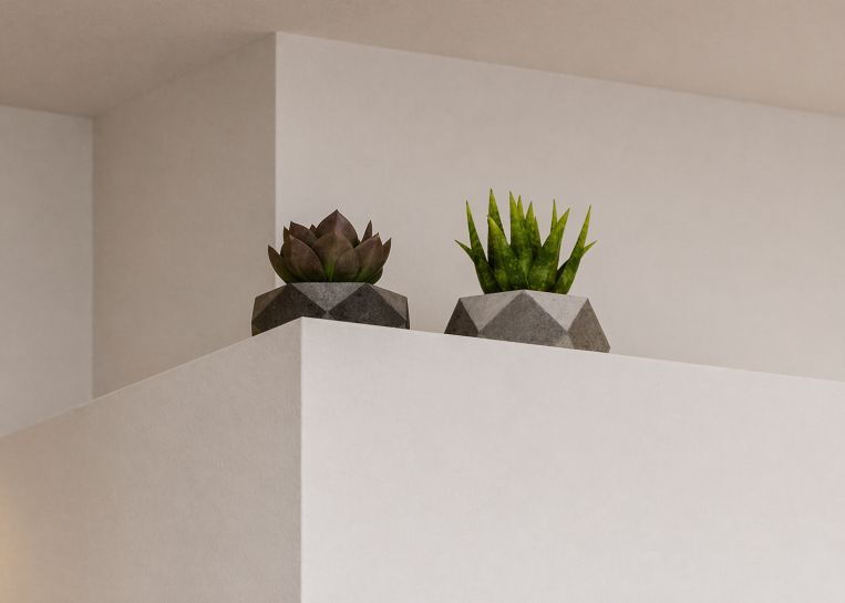 Zwei kleine Sukkulenten in geometrischen Töpfen aus Beton auf dem weißen Vorsprung der Kaminanlage als stilvoller Akzent.