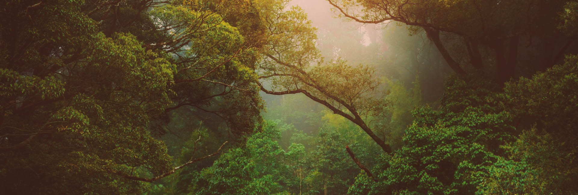 Natur